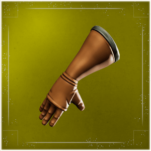 Wildwarden's Gloves
